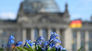 Un alto funcionario alem&aacute;n responsabiliza a Rusia por el cibertaque a Signal