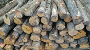 Urteil: Baden-W&uuml;rttemberg beging mit Holzverkauf jahrzehntelang Kartellversto&szlig; 