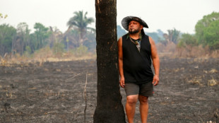 Prospect of Bolsonaro win looms large over Brazil's Indigenous