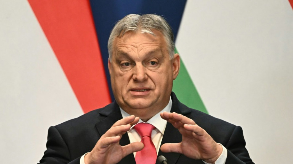 Streit um Nato-Beitritt: Orban l&auml;dt schwedischen Kollegen nach Budapest ein