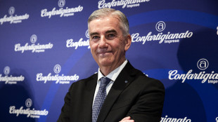 Granelli (Confartigianato): 'Allarmismi infondati. Chi teme la riforma degli artigiani?'