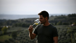 L'huile d'olive italienne s'&eacute;puise face au changement climatique
