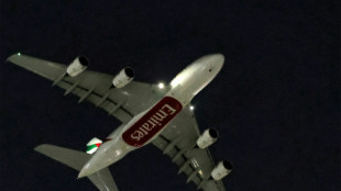 Erste Urlauber reisen aus der Golfregion zur&uuml;ck nach Deutschland 