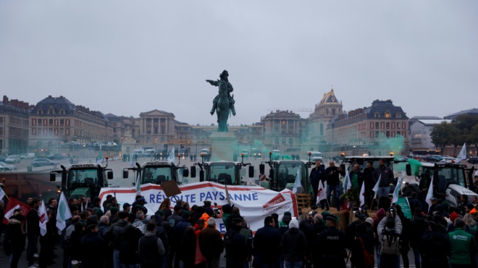 Devant le château de Versailles, une centaine d'agriculteurs alertent contre le Mercosur