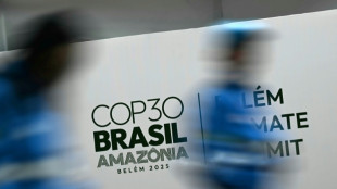 What did countries agree to at COP30?