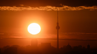 In Germania l'indice Ifo scende a novembre a 88,1 punti