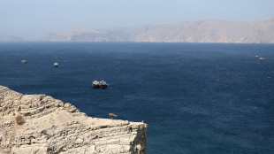 'Iran e Oman elaborano protocollo per monitorare il transito a Hormuz'