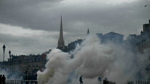 Manifestations de samedi en France : 1.314 interpellations, 53 membres des forces de l'ordre bless&eacute;s, selon l'Int&eacute;rieur