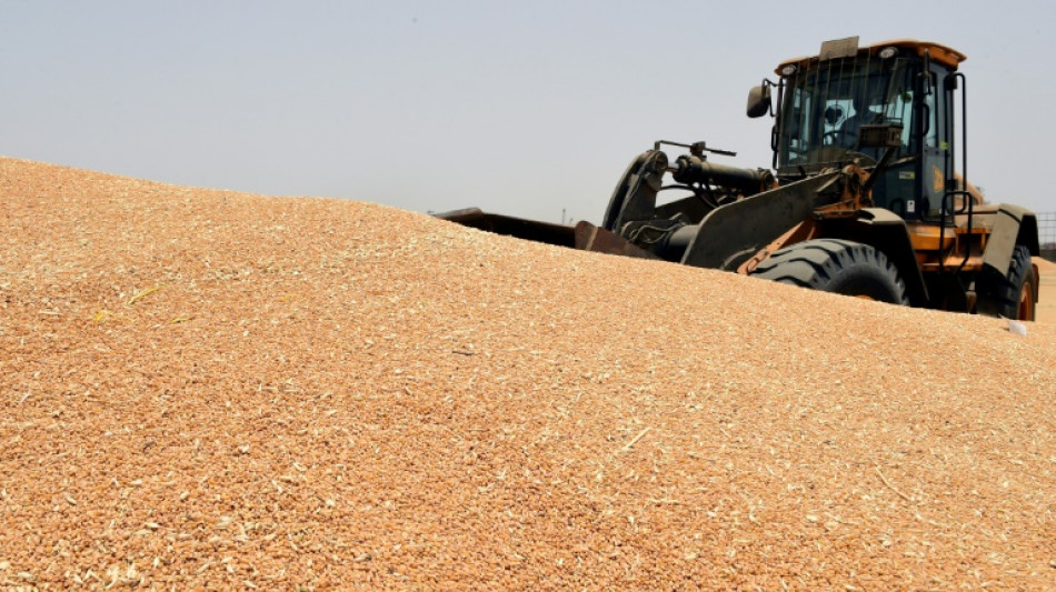 La communaut&eacute; internationale redouble d'efforts pour contrer la crise alimentaire