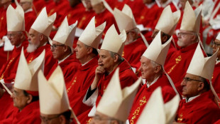 Video game rides conclave excitement with cardinal fantasy team