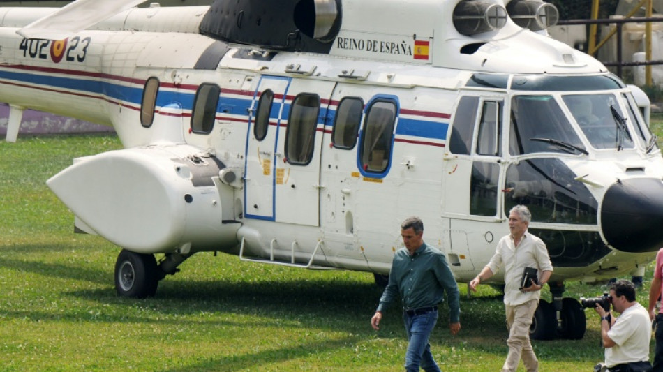 Pedro Sánchez reconoce que la prevención de incendios en España fue "claramente insuficiente"