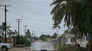 Little damage as Hurricane Polo sweeps over Mexico's Pacific coast