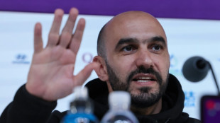 Whole of Africa behind Morocco at World Cup: Regragui