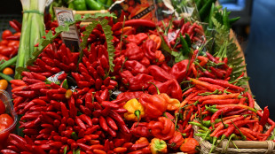 Inflazione Ocse stabile al 4,2% a settembre, Italia all'1,6%