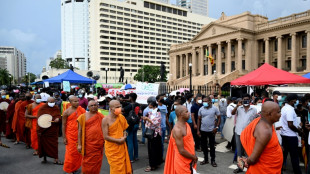 Sri Lanka, en suspensi&oacute;n de pagos, recurre a la generosidad de su di&aacute;spora