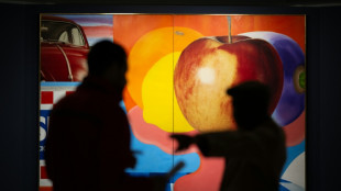 Paul C&eacute;zanne et ses admirateurs expos&eacute;s &agrave; Paris