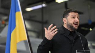 Zelensky, 'cessate fuoco possibile, far pressione sulla Russia'