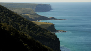 Cierran playas australianas por tiburones que comen restos de ballena