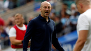 England written off too soon, says Borthwick
