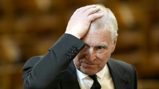 Prince Andrew accuser says he acted as if sex with her was 'birthright': memoir