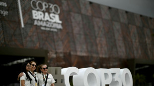 Pagar por preservar bosques: Brasil promoverá en la COP30 un ambicioso fondo de inversión 