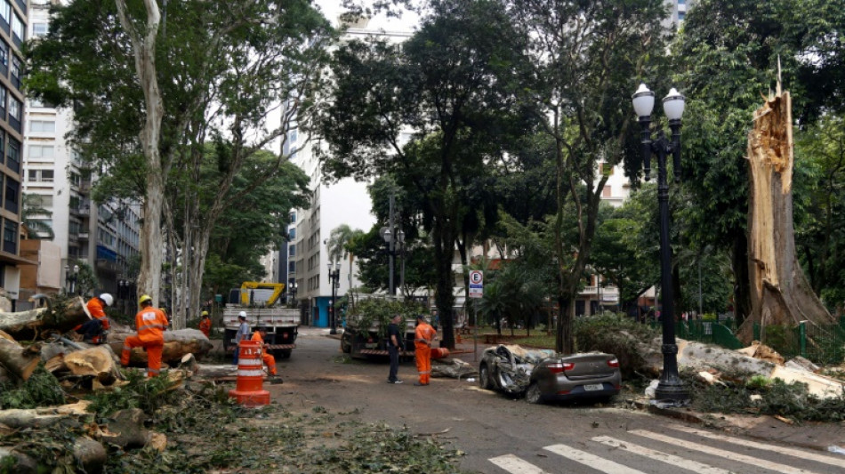 De la bruine aux temp&ecirc;tes: la m&eacute;galopole Sao Paulo chamboul&eacute;e par le changement climatique