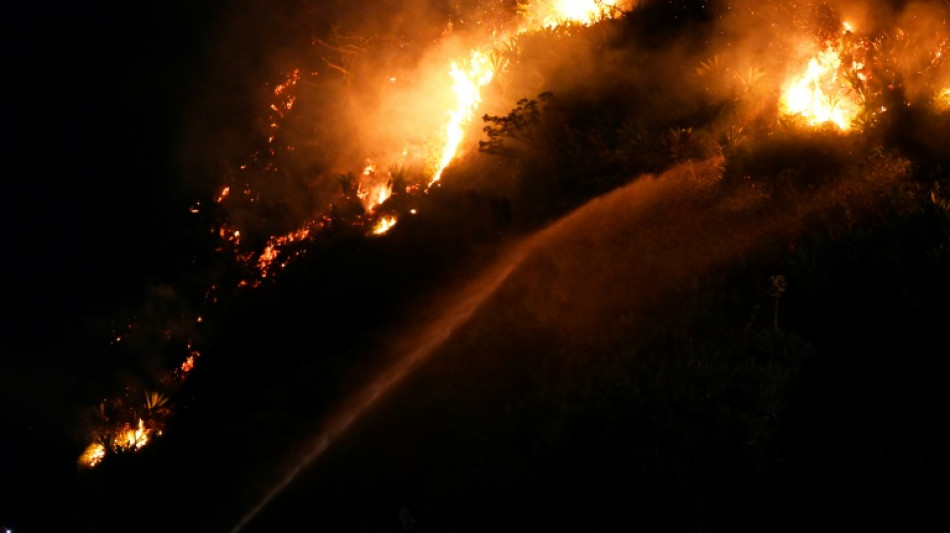 Br&eacute;sil: incendie de for&ecirc;t dans le quartier touristique de Copacabana &agrave; Rio de Janeiro