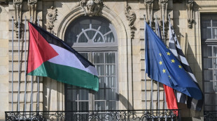 Varias alcaldías en Francia desoyen al gobierno e izan la bandera palestina