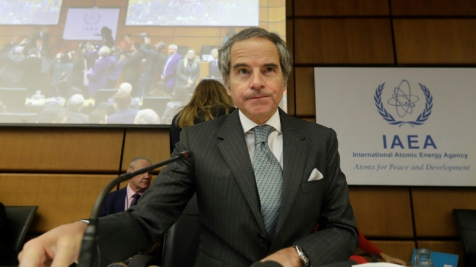 El argentino Grossi, director del OIEA, expresa inter&eacute;s en ser jefe de la ONU