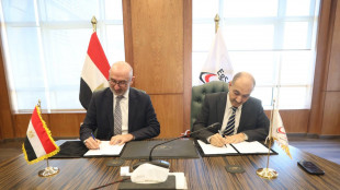 Italiana Sitael sosterr&agrave; l'innovazione dell'Agenzia spaziale egiziana