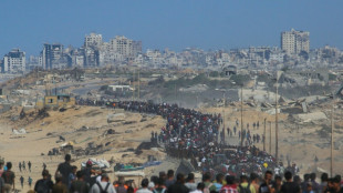 Imprensa estrangeira pede acesso imediato e independente a Gaza