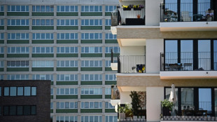 Auftr&auml;ge f&uuml;r Baubranche im Februar gesunken - vor allem im Tiefbau