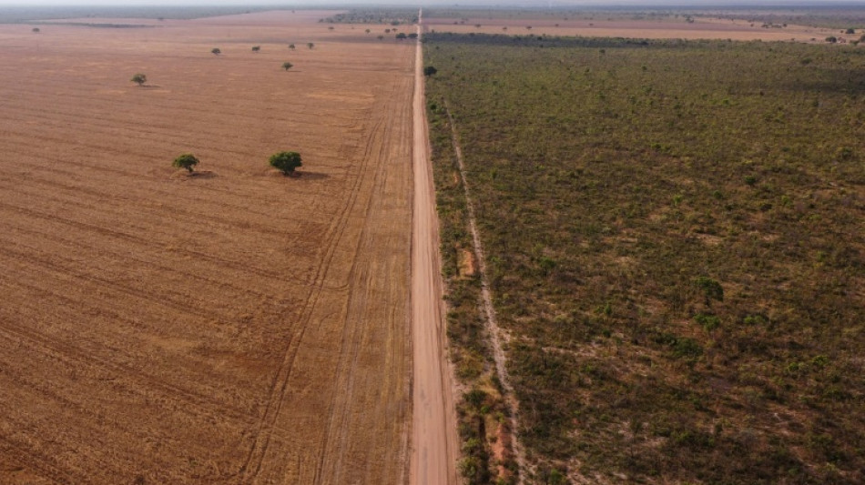 Corrida para salvar Amaz&ocirc;nia relega Cerrado, 'ber&ccedil;o das &aacute;guas', a segundo plano
