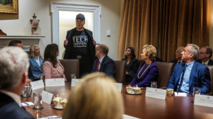 Musk stars at Trump's first cabinet meeting