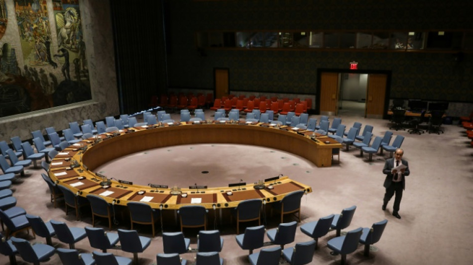 El Consejo de Seguridad de la ONU prorroga el embargo de armas en Sud&aacute;n del Sur