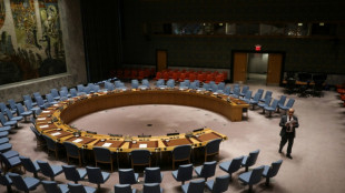 El Consejo de Seguridad de la ONU prorroga el embargo de armas en Sud&aacute;n del Sur