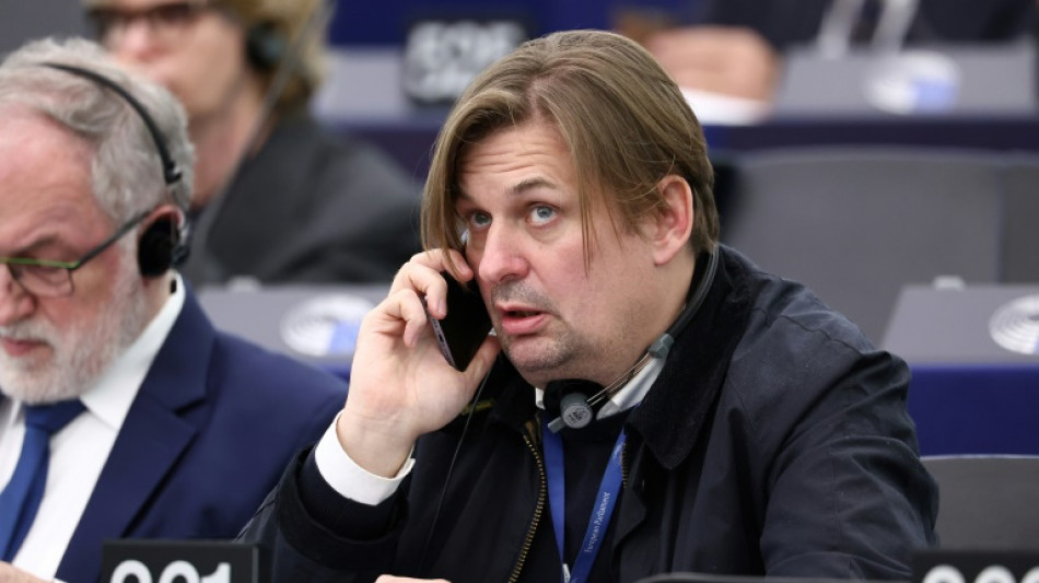 AfD sieht Rekordergebnis als Signal f&uuml;r Landtagswahlen - Krah nicht in EU-Delegation