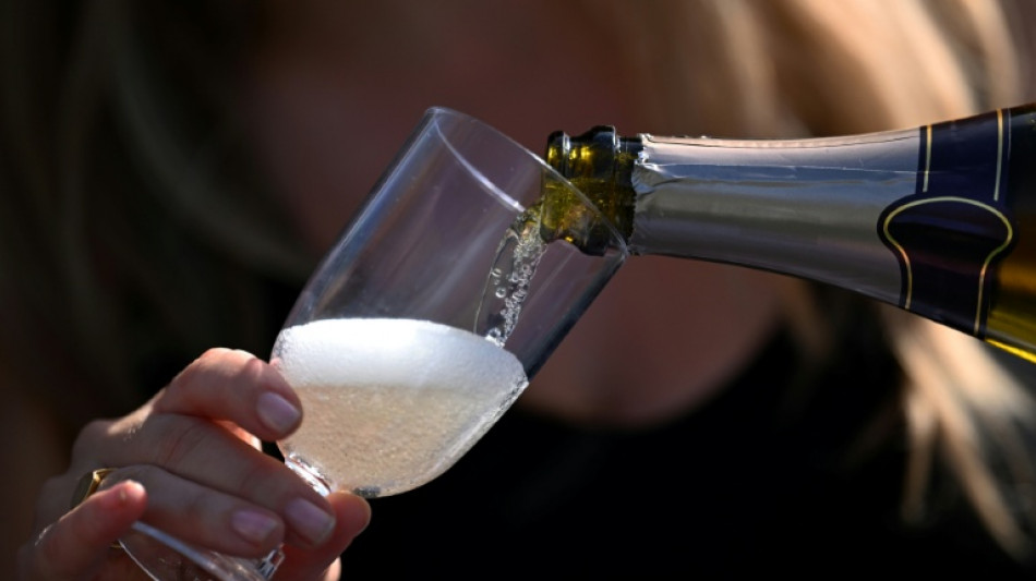 Canicule: le champagne issu de la r&eacute;colte 2026 pourra d&eacute;passer les 13 % d'alcool, selon le Journal officiel