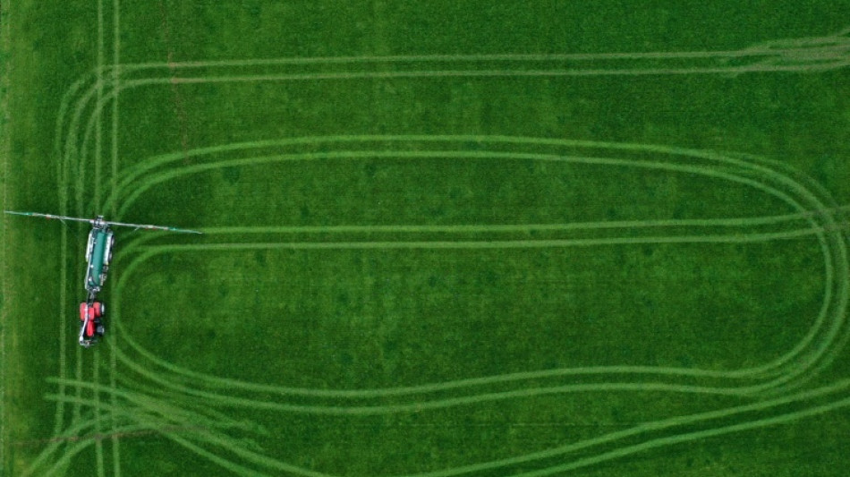 Weniger B&uuml;rokratie f&uuml;r Landwirte: Bundesregierung bringt neues D&uuml;ngerecht auf den Weg