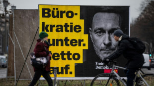 Landeswahlleiter pr&uuml;fen nach Beschwerde FDP-Listen zur Bundestagswahl