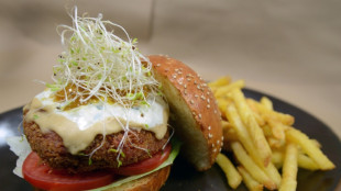 Streit um Veggie-Wurst: Merz und Rainer unterstützen EU-Vorhaben für Namensverbot