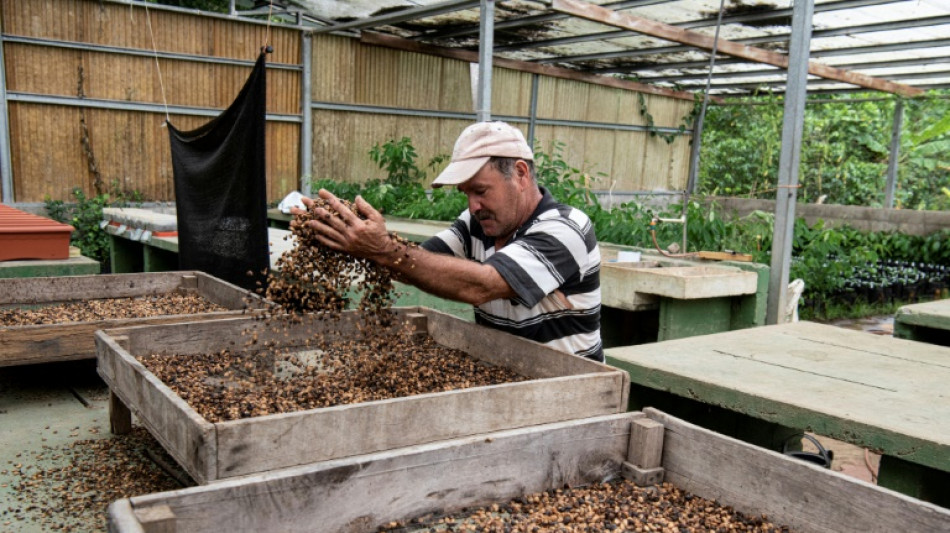 Costa Rica guarda tesouro de sementes ante crise clim&aacute;tica