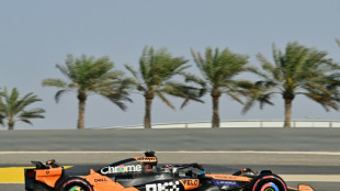 McLaren's Piastri claims Bahrain pole as Norris, Verstappen struggle