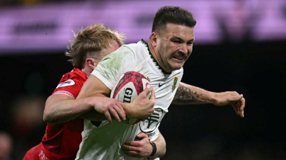 Erasmus hails Springboks' 'proper performance' after Wales thrashing