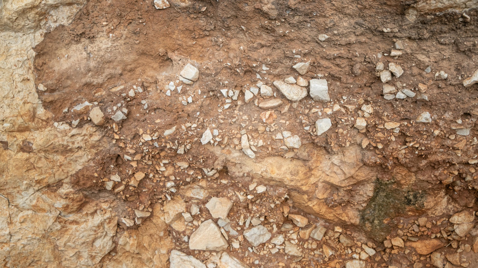 In una grotta ligure il più antico caso di convivenza uomo-cane