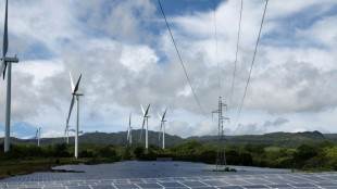 Moratorium für Wind- und Solaranlagen löst in Frankreich Kritik aus