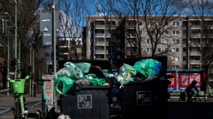 Elf Kilo mehr als im Vorjahr: Pro-Kopf-Menge an Haushaltsabfall 2024 gestiegen