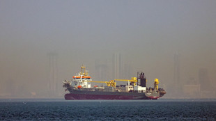 'Navi si preparano a passare Hormuz ma attendono dettagli tregua'