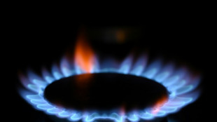 Energiewirtschaft fordert "Detailplan" f&uuml;r Ende russischer Gaslieferungen