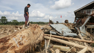 Las inundaciones en Indonesia amenazan unos orangutanes al borde de la extinción
